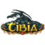 Tibia