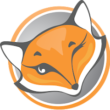 FoxyProxy Standard for Chrome